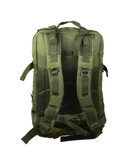 Backpack Colorlife Commander Olive