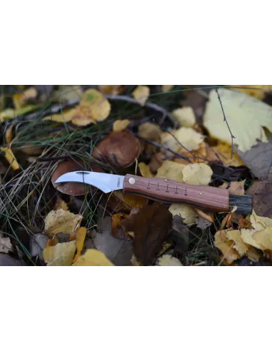 Pocket Mushroom Knife