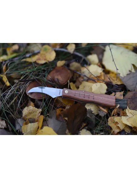 Pocket Mushroom Knife