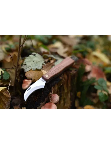 Pocket Mushroom Knife