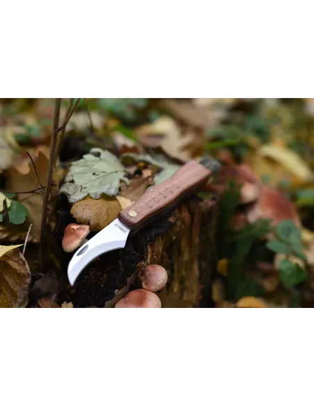 Pocket Mushroom Knife